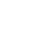 WordPress Entwicklung und professionelle Webentwicklung in Österreich