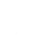 Schnelles Website Hosting auf DSGVO-konformen Servern mit SSL-Schutz