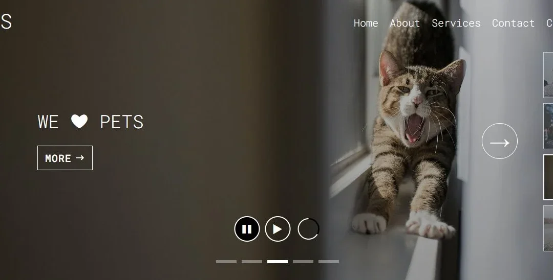 Divi slider design with JS/CSS Code and json.