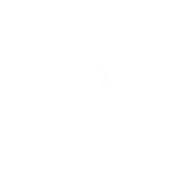 wordpress (1)