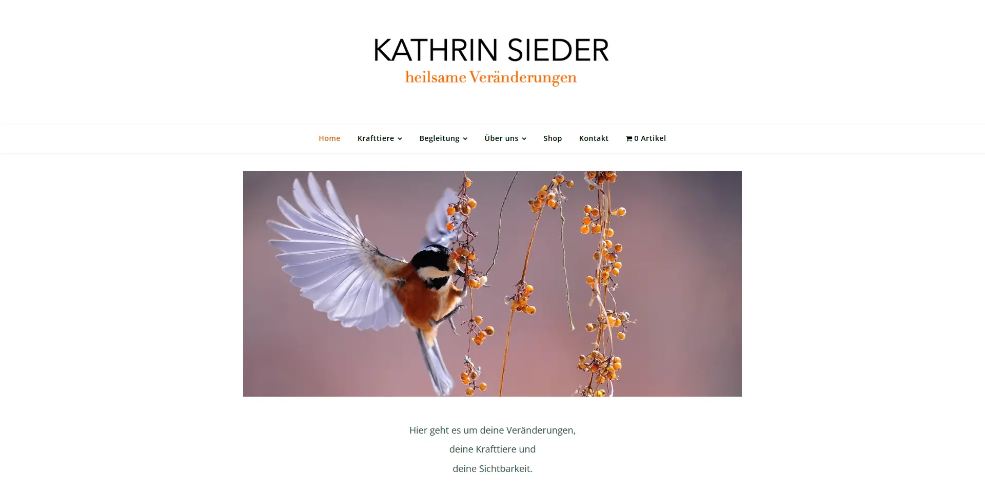 Website design for Kathrin Sieder by Julius Timgum, ZORA Design